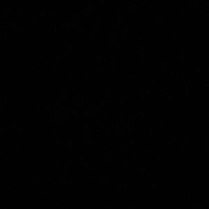 Meet your Posher, Janaya